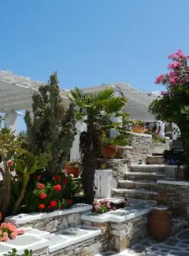 Landscaping and Outdoor Living